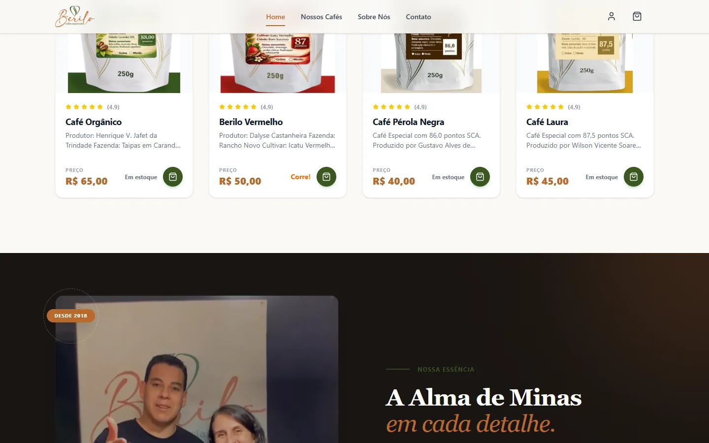 Home page — section 2