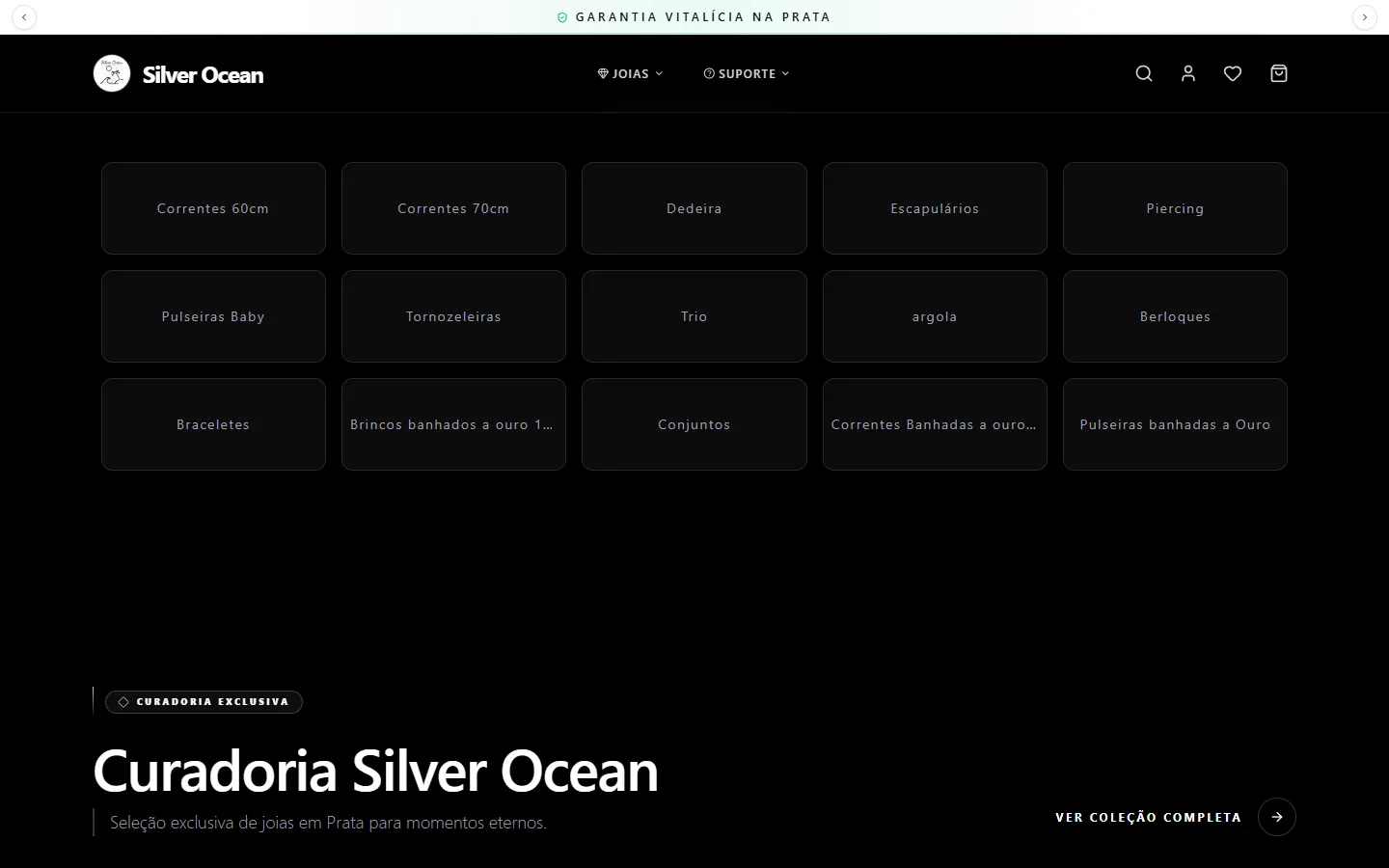 Home page — section 2